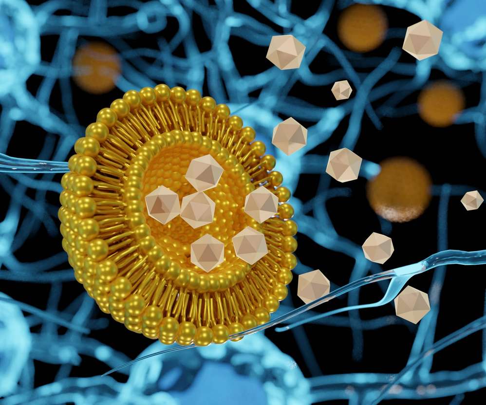 An illustration of a liposome for drug delivery.