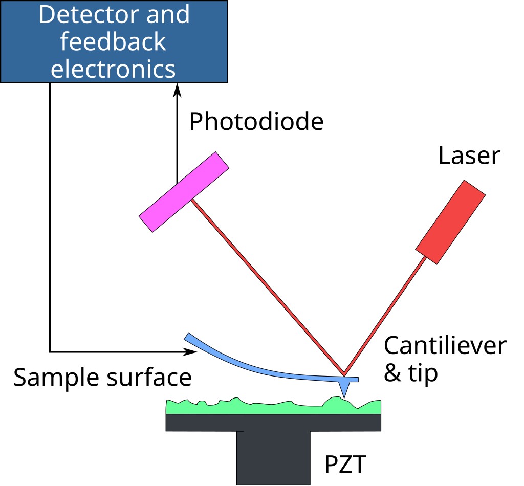 Graphic illustration of the principle of atomic force microscopy (AFM) and basic components.