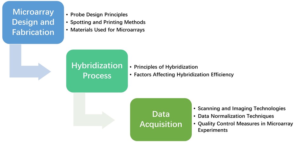 General microarray workflow: microarray design and fabrication, hybridization process, and data acquisition.