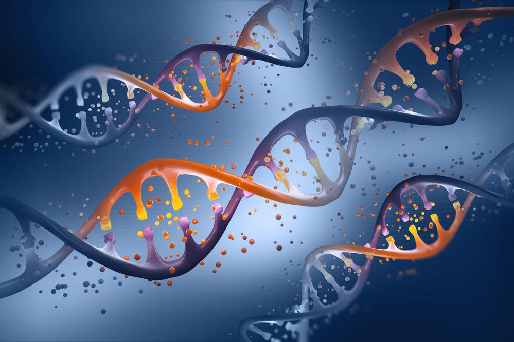 Illustration of DNA structure.