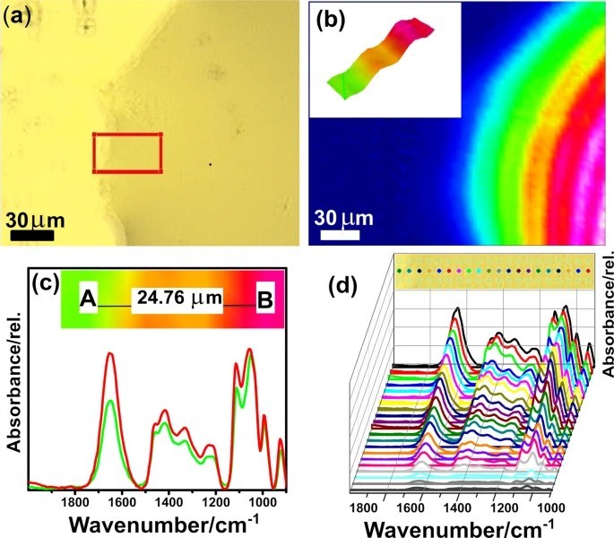 A combined Far-FTIR, FTIR spectromicroscopy, and DFT study of the effect of DNA binding on the [4Fe4S] cluster site in EndoIII.