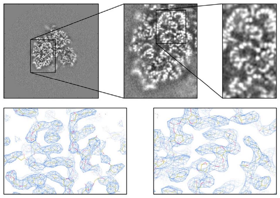 Cryo-EM maps showing ribosomal RNA phosphate backbone and refined reconstructions of human ribosome subunits for improved resolution.