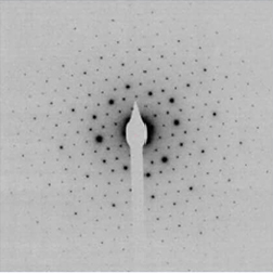 Microcrystal Electron Diffraction (MicroED)