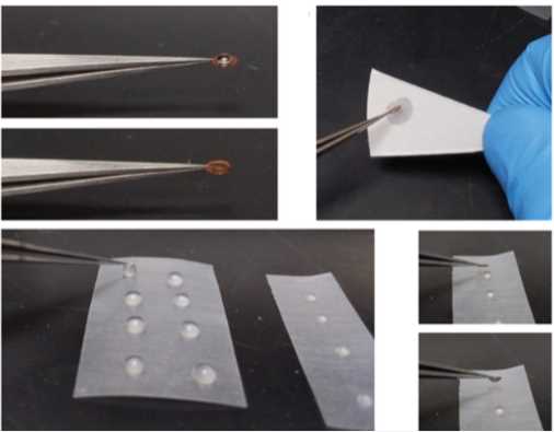 Process of negative staining sample preparation