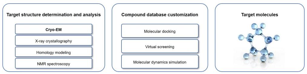 Structure-based Drug Design (SBDD) Services