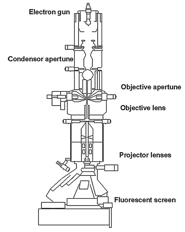 Schematic diagram of transmission electron microscope