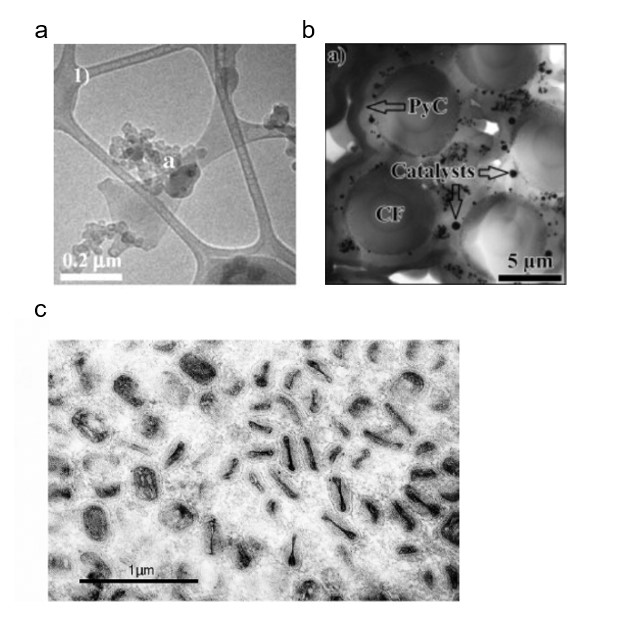 TEM images of various sample types