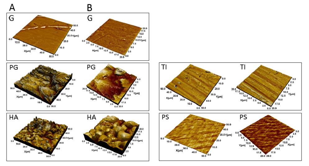 Atomic Force Microscopy (AFM) topographical images of the materials.