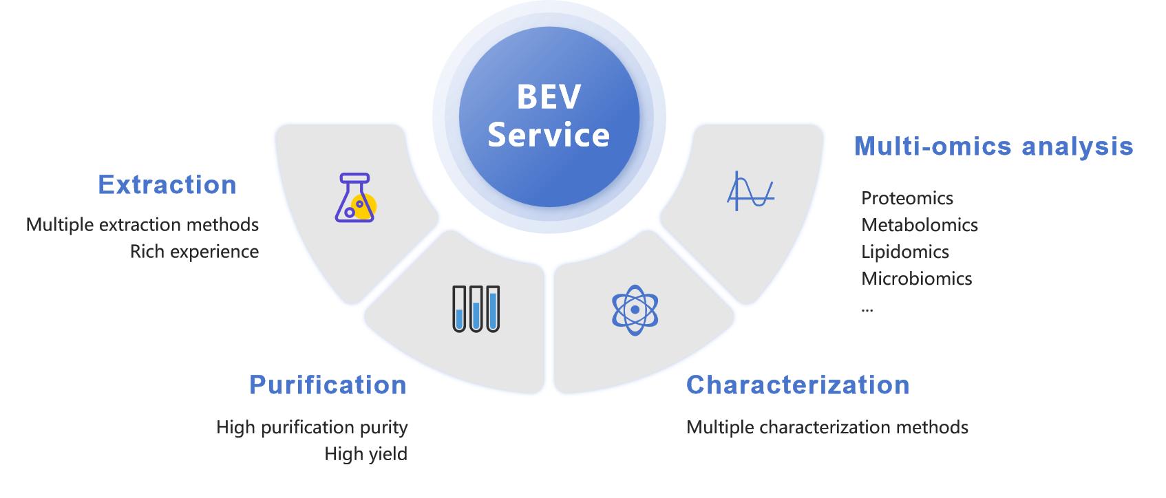 Figure 2. Various bacterial extracellular vesicle services.