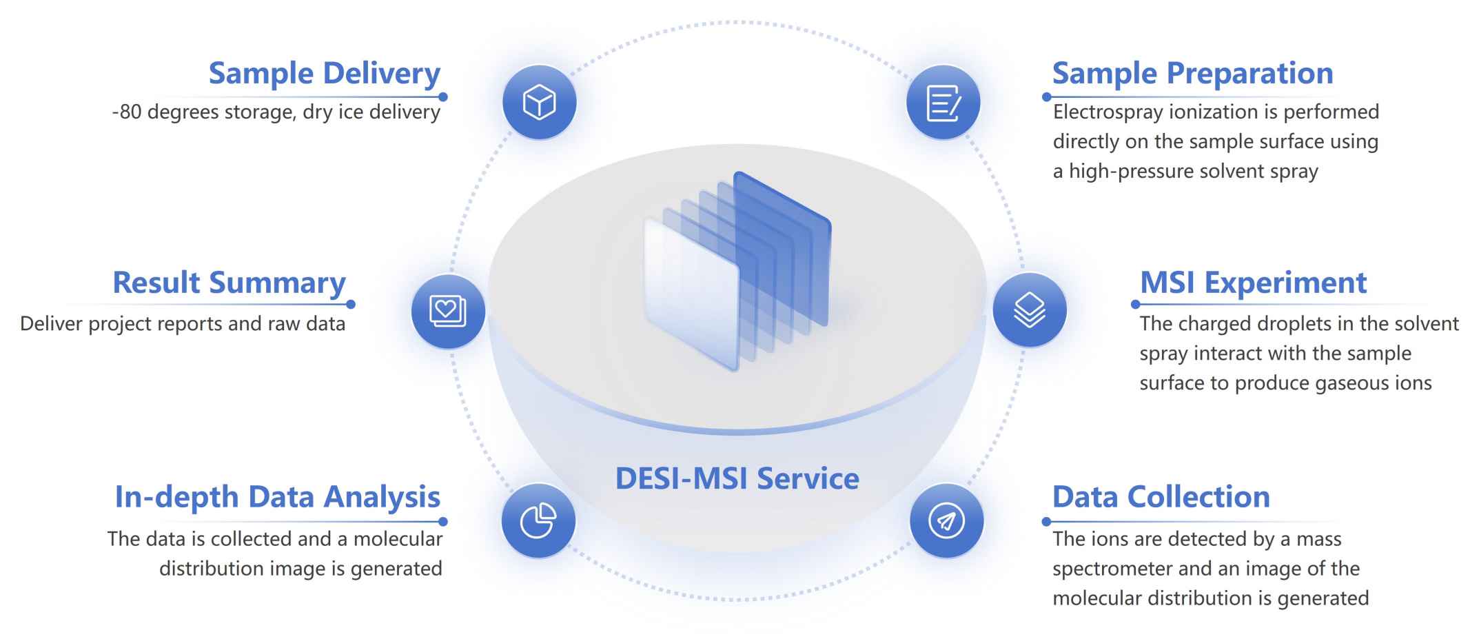 Figure 2. Overview of our workflow for conducting DESI-MSI analysis.