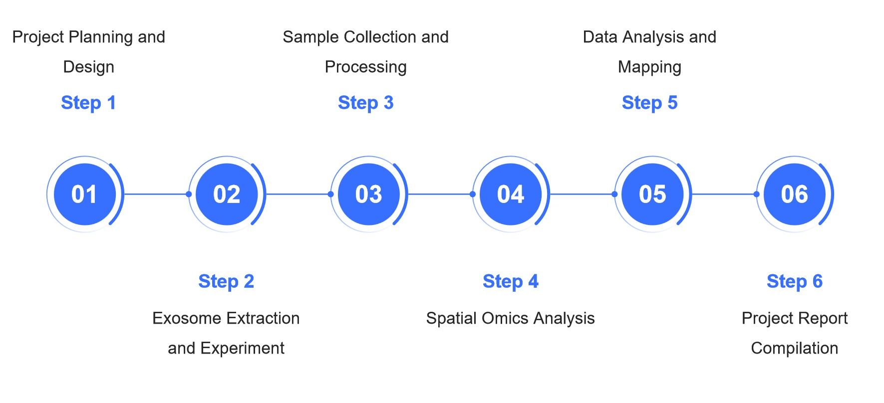 Flowchart depicting six key steps of <strong>Creative Biostructure</strong>'s exosome spatial omics workflow from project planning to final report delivery.