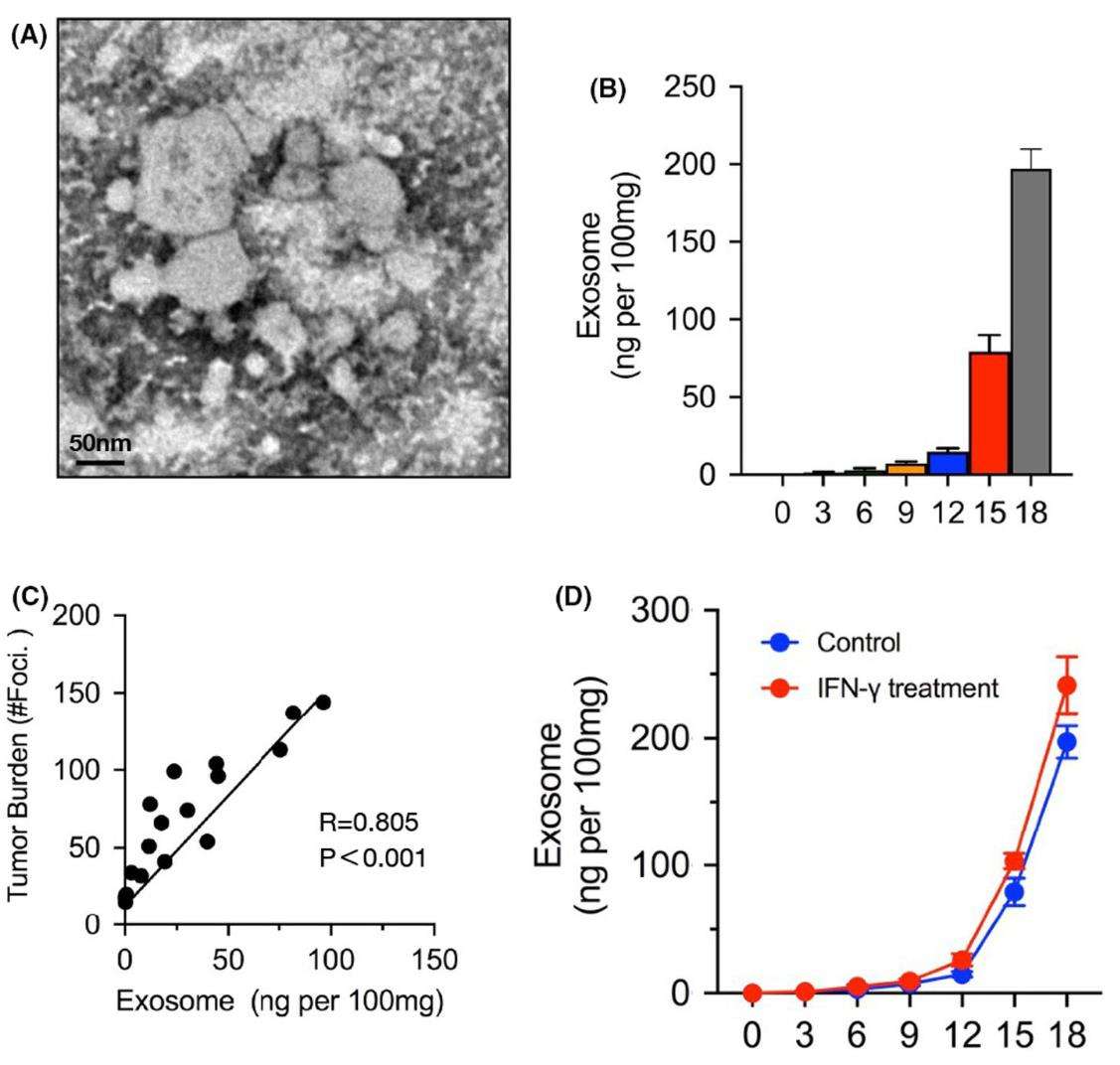 Figure 3. Melanoma exosome surge in metastatic progression.