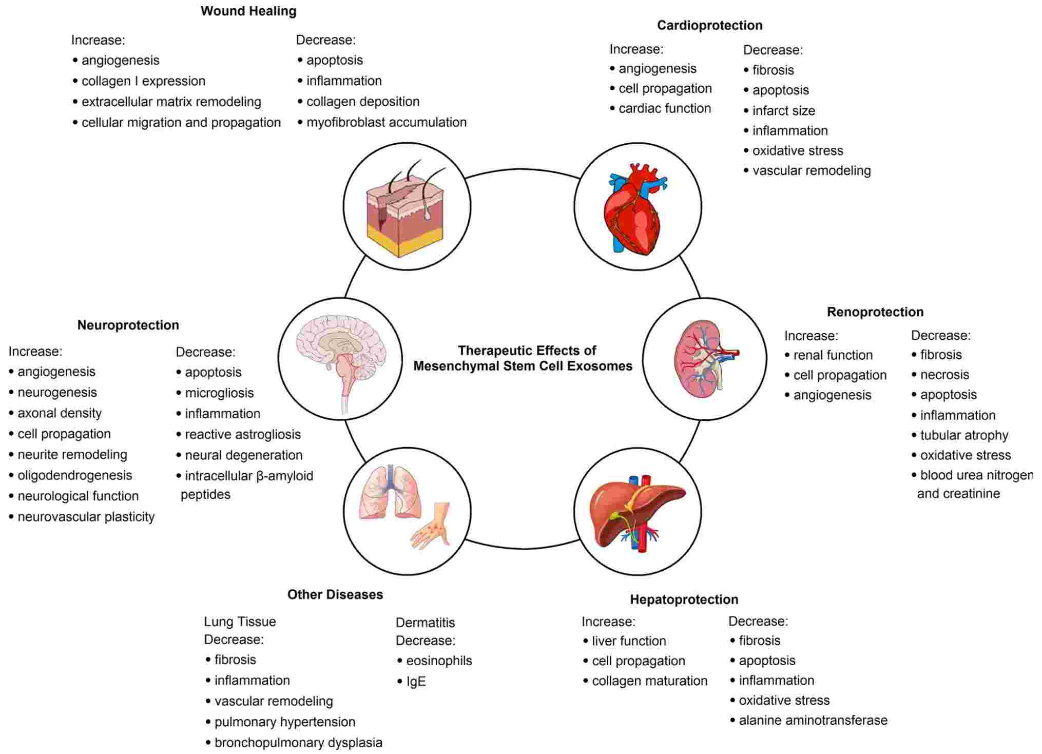 Figure 1. Exosome-mediated regeneration in diverse pathological conditions.