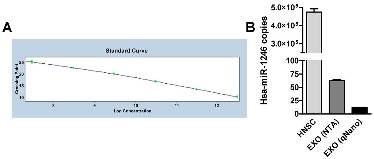 Figure 3. Quantitative assessment of miRNA levels in human neural stem cells and their exosomes.