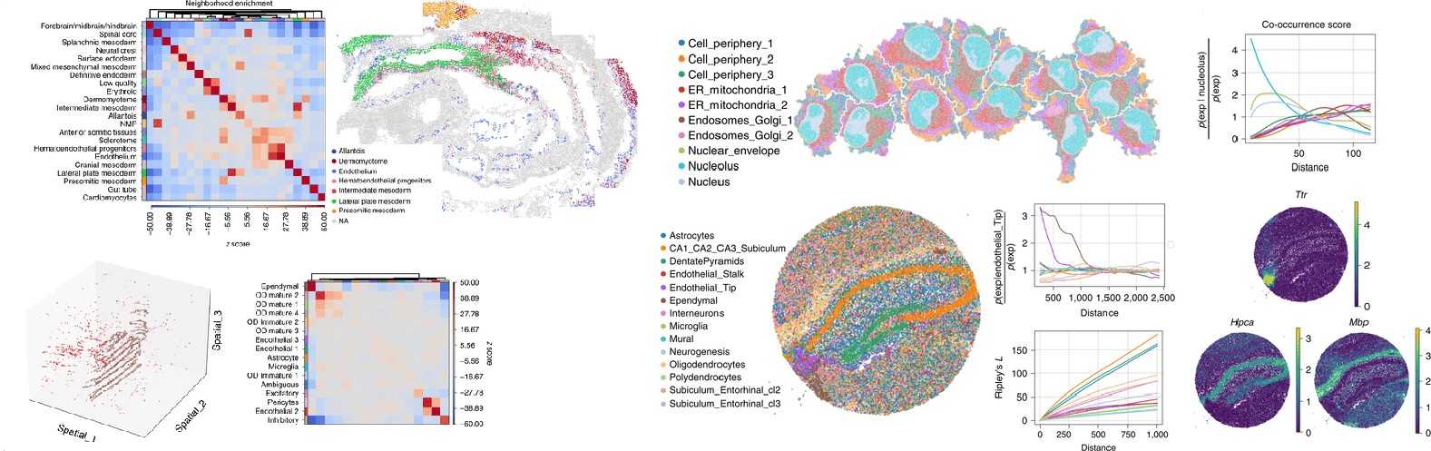 Comprehensive visualization of spatial omics data showing multi-dimensional analysis of liposome distribution in tissue samples.