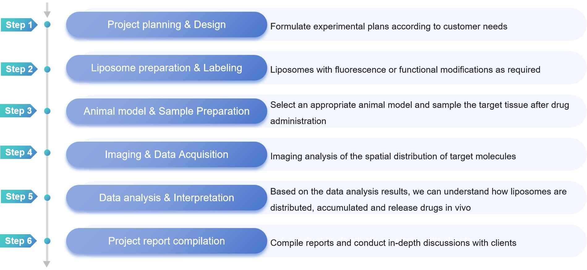 Six-step workflow diagram illustrating <strong>Creative Biostructure</strong>'s liposome spatial omics service from project planning to final report compilation.