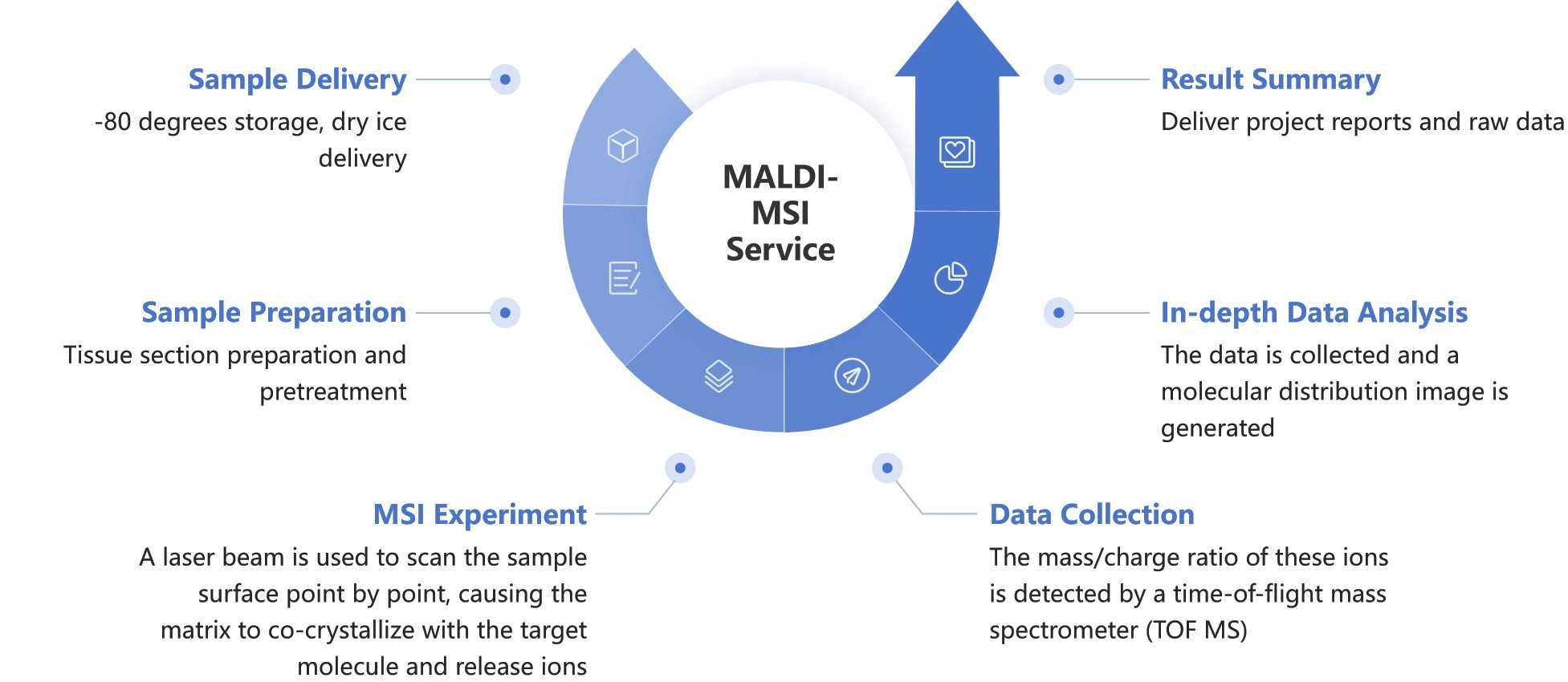 Figure 2. Overview of our workflow for conducting MALDI-MSI analysis.