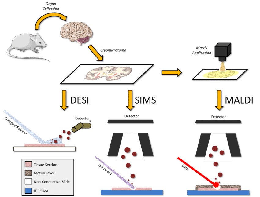 Figure 1. Diagram illustrating various mass spectrometry imaging methodologies.