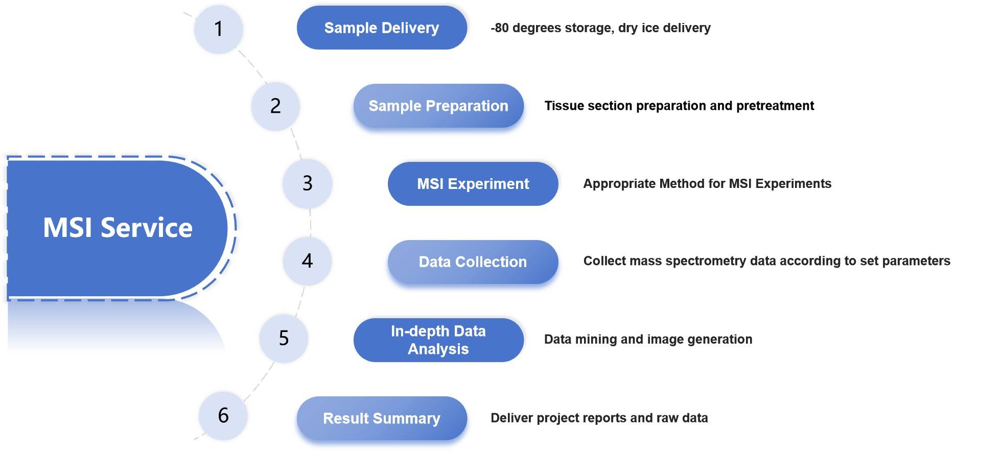 Figure 2. Illustration of our specific mass spectrometry imaging process workflow.