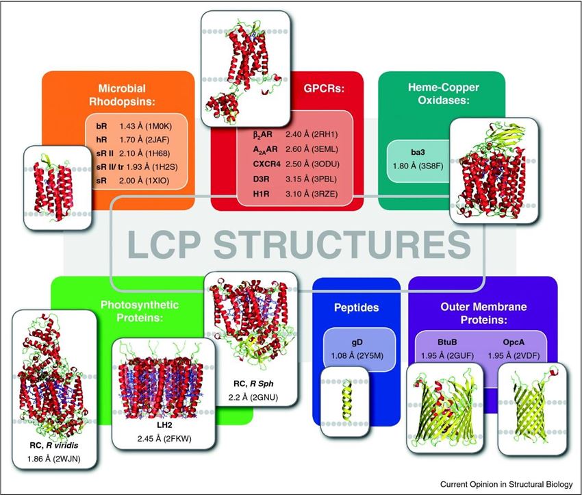 A gallery of protein and peptide structures obtained by LCP crystallization.