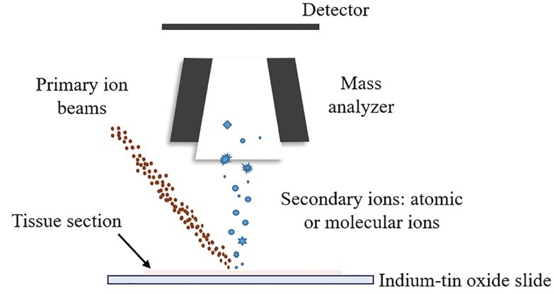 Figure 1. Illustration of the ionization method used in SIMS-MSI.