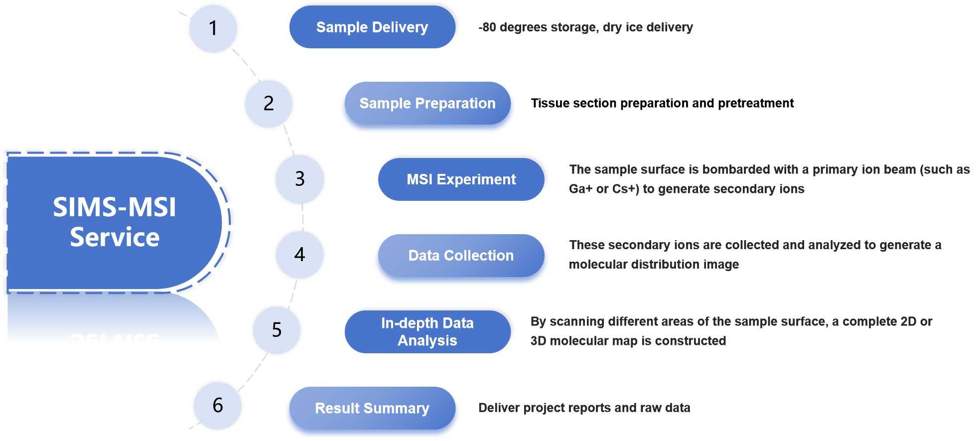 Figure 2. Overview of our workflow for conducting SIMS-MSI analysis.