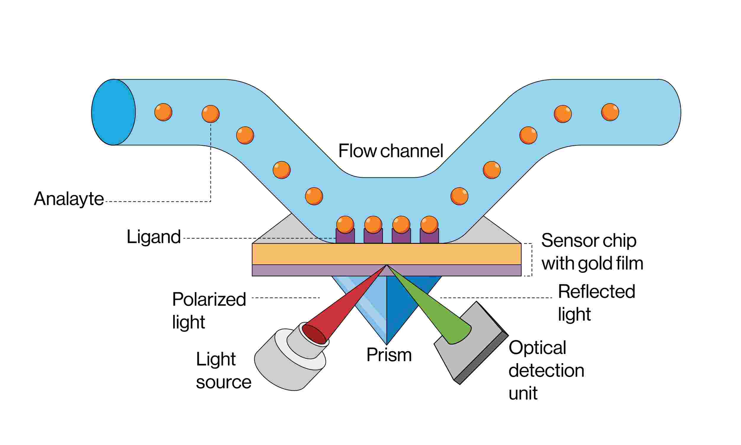 Figure 1. Vector illustration depicting the principle and equipment of surface plasmon resonance in detail.