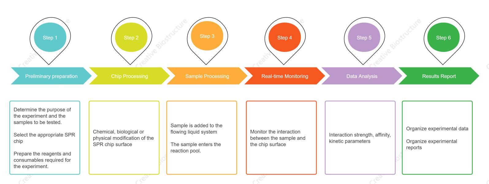 Figure 2. The workflow of our surface plasmon resonance microscopy project.