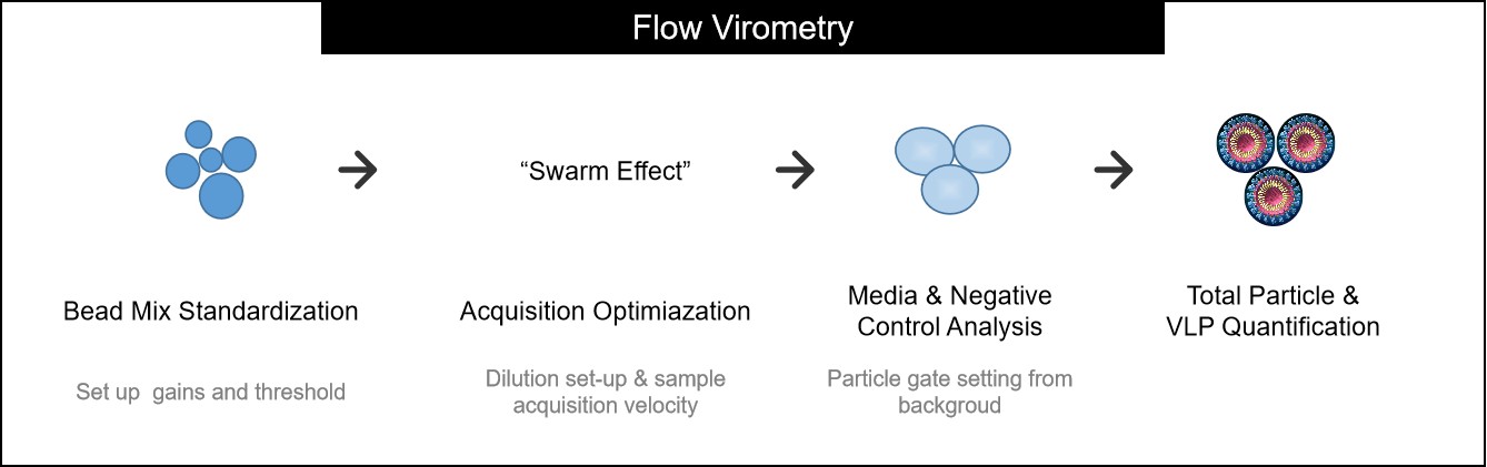 Figure 3. Workflow for Quantifying Virus-like Particles Using Flow Virometry.